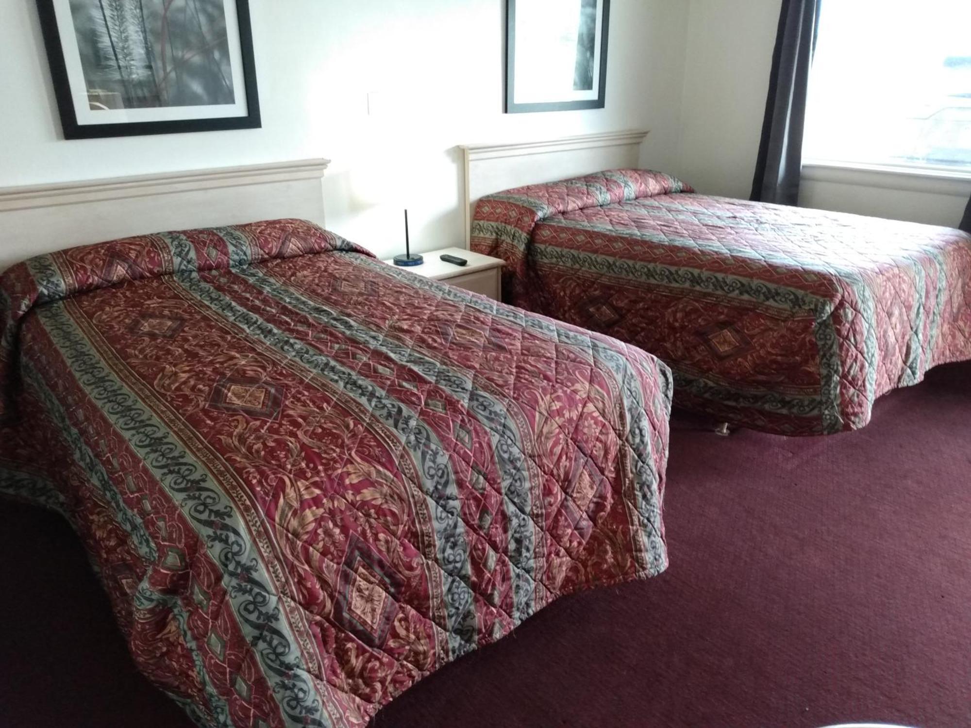 Eldorado Motel New Castle Bagian luar foto